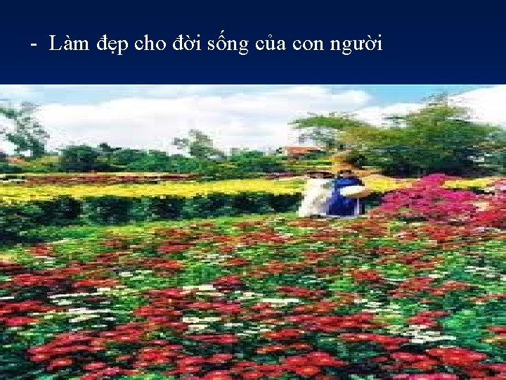 - Làm đẹp cho đời sống của con người 