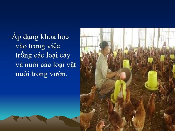 -Áp dụng khoa học vào trong việc trồng các loại cây và nuôi các