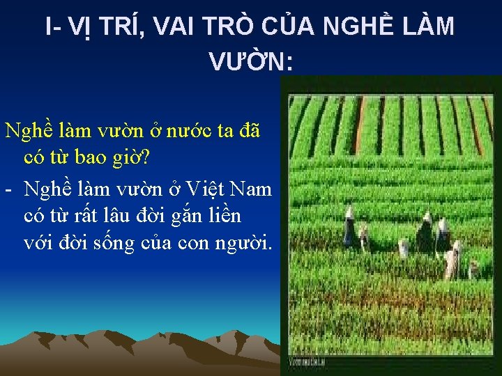 I- VỊ TRÍ, VAI TRÒ CỦA NGHỀ LÀM VƯỜN: Nghề làm vườn ở nước