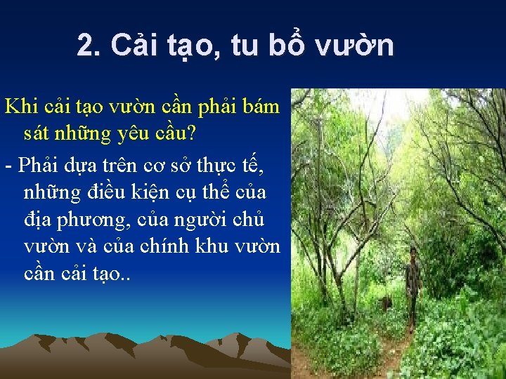 2. Cải tạo, tu bổ vườn Khi cải tạo vườn cần phải bám sát