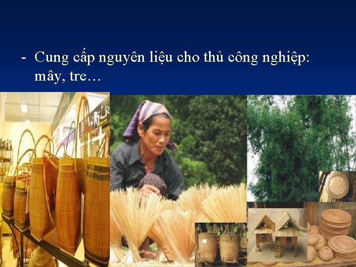 - Cung cấp nguyên liệu cho thủ công nghiệp: mây, tre… 