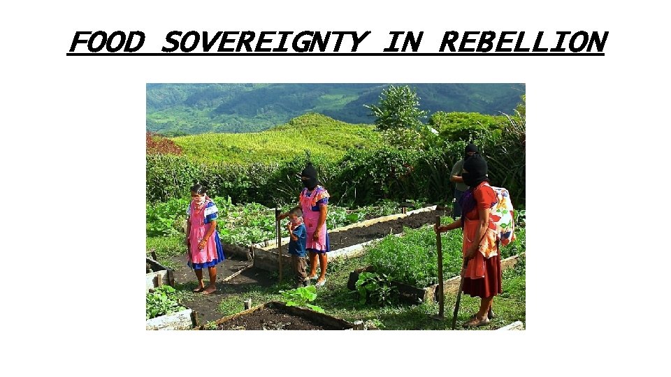 FOOD SOVEREIGNTY IN REBELLION 