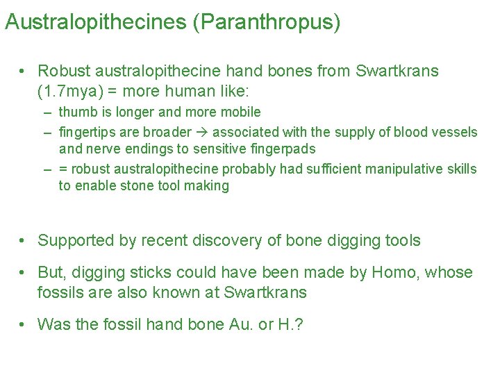 Australopithecines (Paranthropus) • Robust australopithecine hand bones from Swartkrans (1. 7 mya) = more