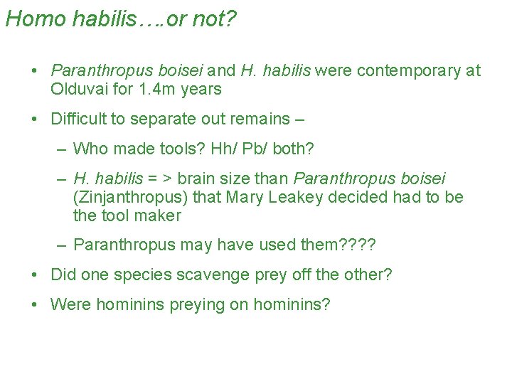 Homo habilis…. or not? • Paranthropus boisei and H. habilis were contemporary at Olduvai