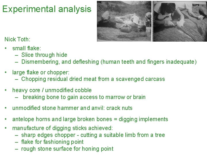 Experimental analysis Nick Toth: • small flake: – Slice through hide – Dismembering, and