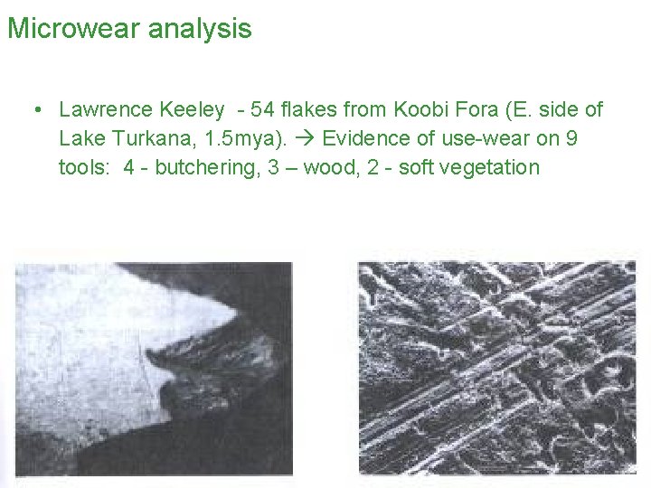 Microwear analysis • Lawrence Keeley - 54 flakes from Koobi Fora (E. side of