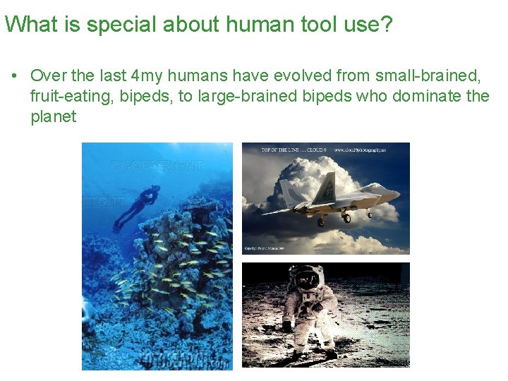 What is special about human tool use? • Over the last 4 my humans