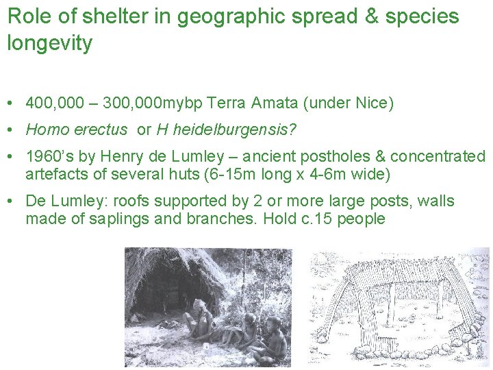 Role of shelter in geographic spread & species longevity • 400, 000 – 300,