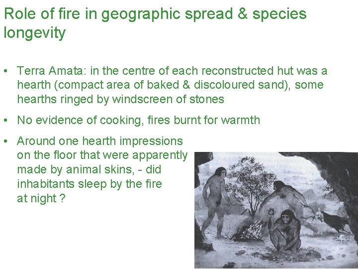 Role of fire in geographic spread & species longevity • Terra Amata: in the