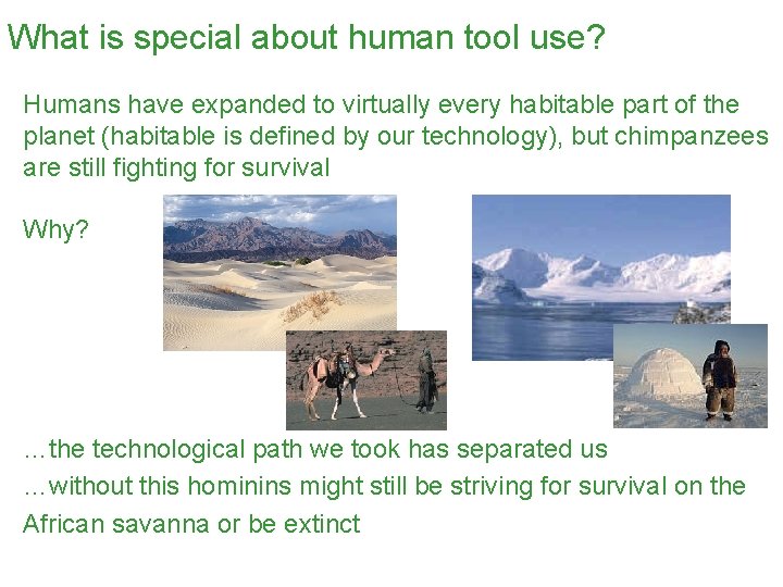 What is special about human tool use? Humans have expanded to virtually every habitable