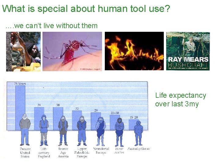 What is special about human tool use? …. we can’t live without them Life