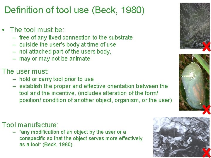 Definition of tool use (Beck, 1980) • The tool must be: – – free