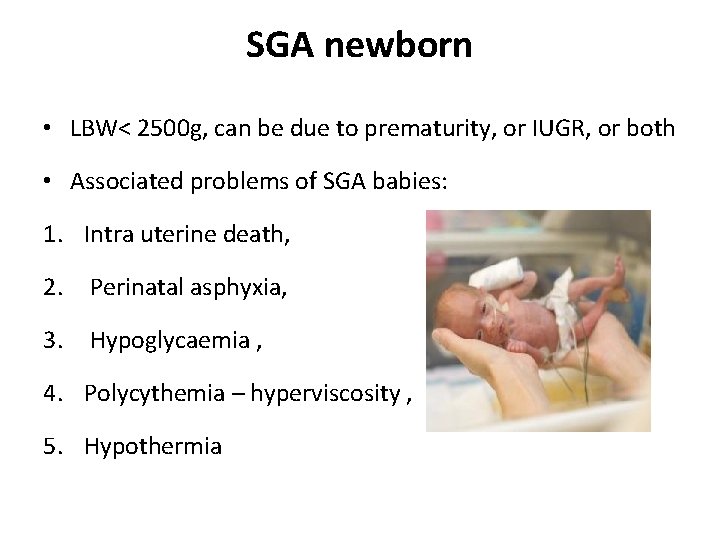 SGA newborn • LBW< 2500 g, can be due to prematurity, or IUGR, or