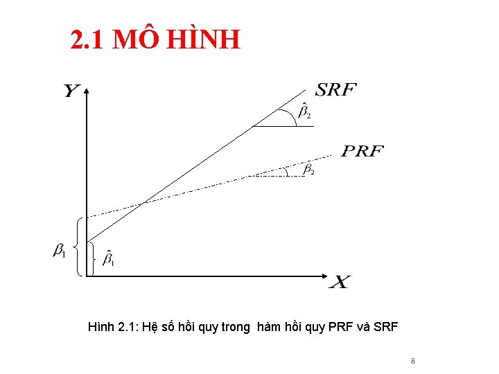 2. 1 MÔ HÌNH Hình 2. 1: Hệ số hồi quy trong hàm hồi