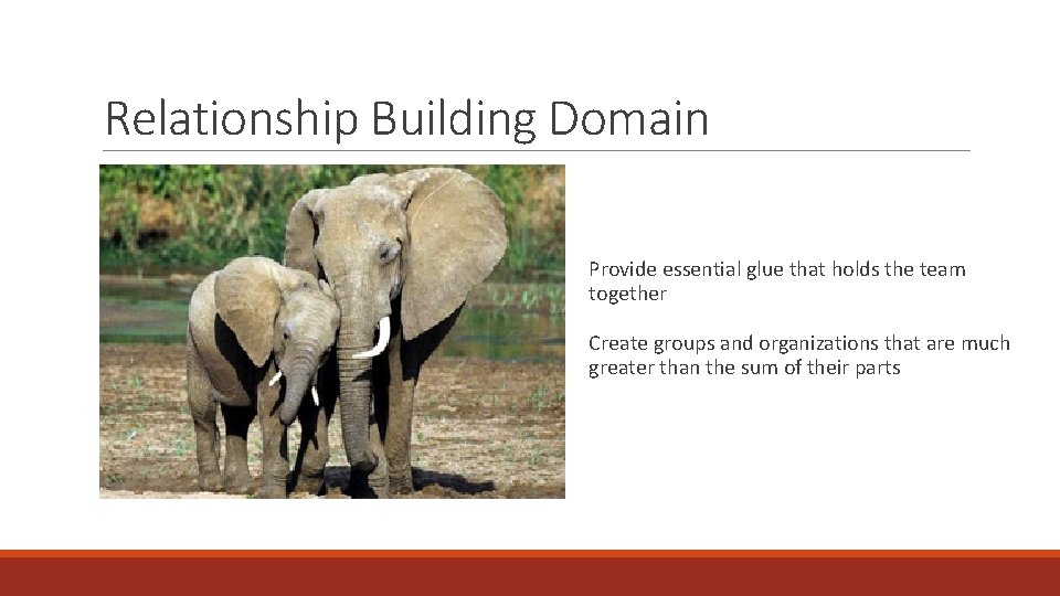 Relationship Building Domain Provide essential glue that holds the team together Create groups and