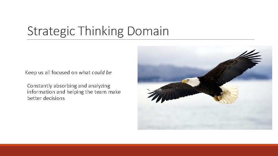 Strategic Thinking Domain Keep us all focused on what could be Constantly absorbing and