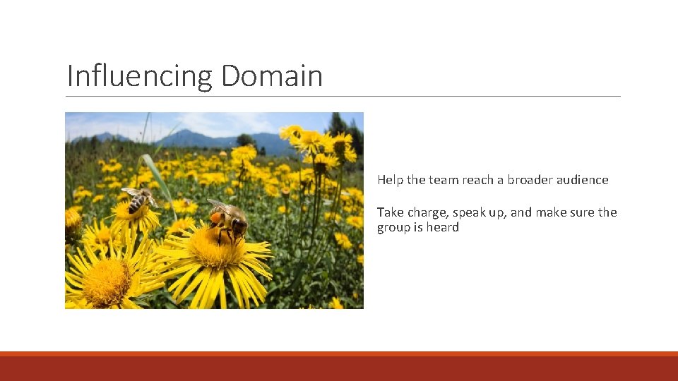 Influencing Domain Help the team reach a broader audience Take charge, speak up, and