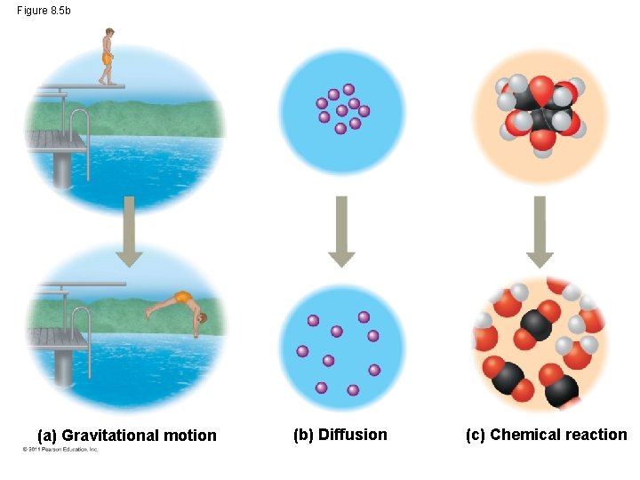 Figure 8. 5 b (a) Gravitational motion (b) Diffusion (c) Chemical reaction 