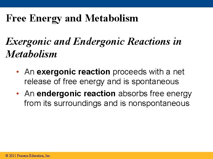 Free Energy and Metabolism Exergonic and Endergonic Reactions in Metabolism • An exergonic reaction