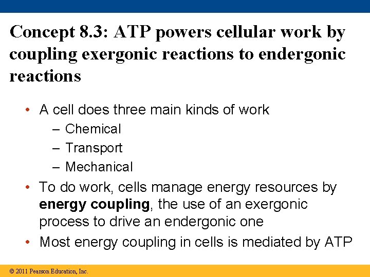 Concept 8. 3: ATP powers cellular work by coupling exergonic reactions to endergonic reactions