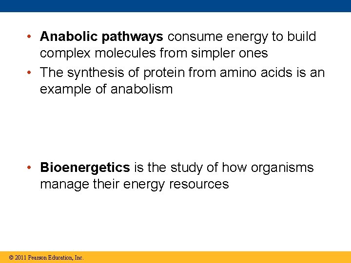  • Anabolic pathways consume energy to build complex molecules from simpler ones •