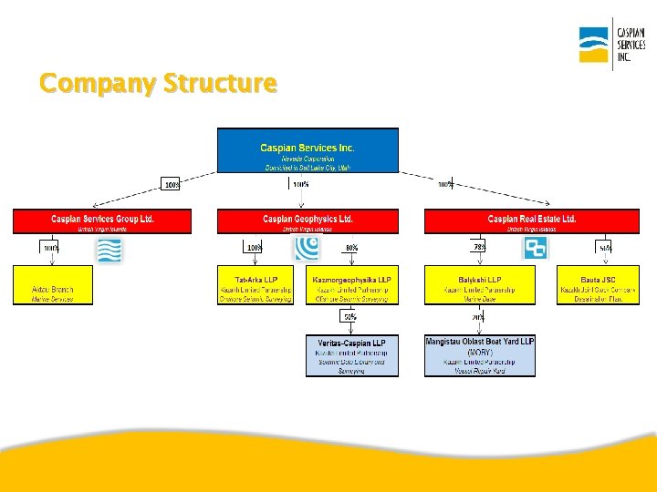 Company Structure 