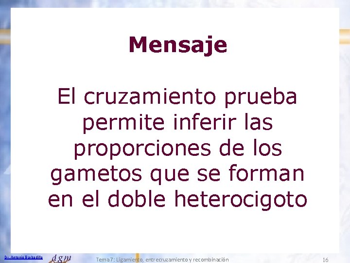 Mensaje El cruzamiento prueba permite inferir las proporciones de los gametos que se forman