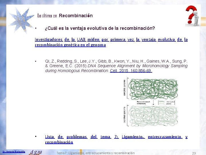  • Recombinación ¿Cuál es la ventaja evolutiva de la recombinación? Investigadores de la