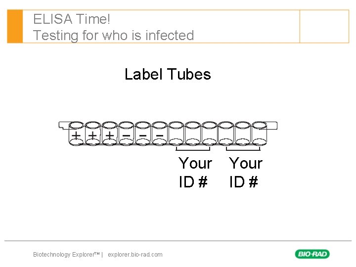 ELISA Time! Testing for who is infected Label Tubes Your ID # Biotechnology Explorer™