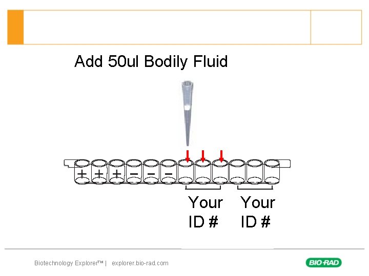 Add 50 ul Bodily Fluid Your ID ID # # Biotechnology Explorer™ | explorer.