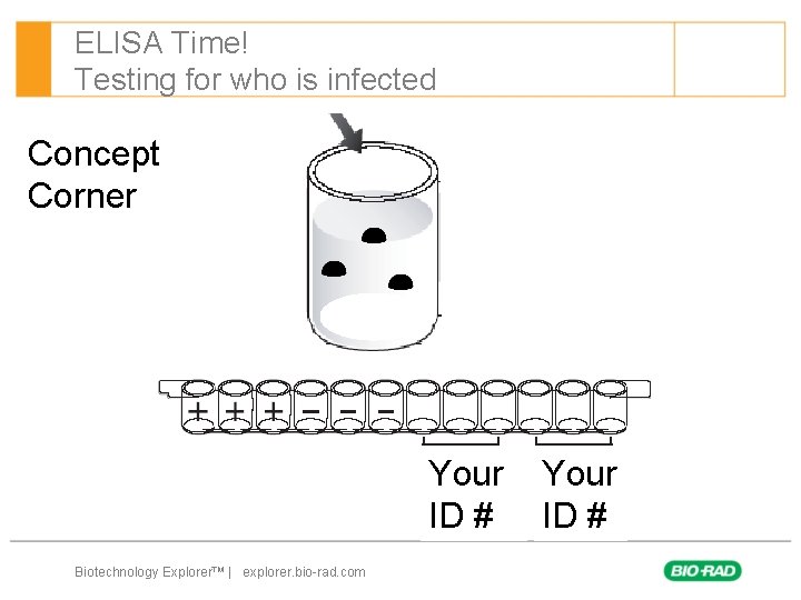 ELISA Time! Testing for who is infected Concept Corner Your ID # Biotechnology Explorer™