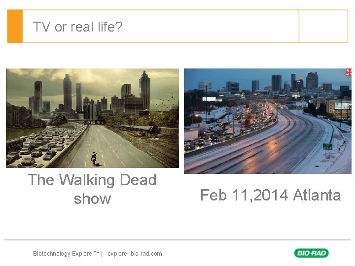 TV or real life? The Walking Dead show Biotechnology Explorer™ | explorer. bio-rad. com