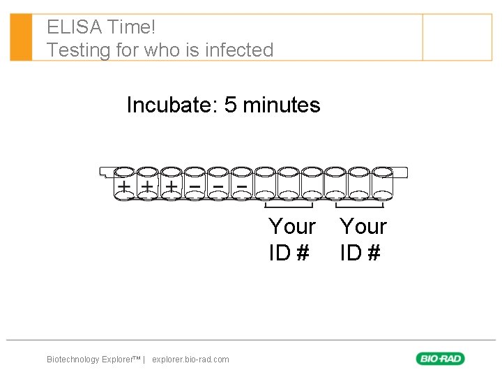 ELISA Time! Testing for who is infected Incubate: 5 minutes Your ID # Biotechnology