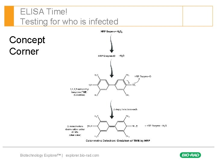 ELISA Time! Testing for who is infected Concept Corner Biotechnology Explorer™ | explorer. bio-rad.
