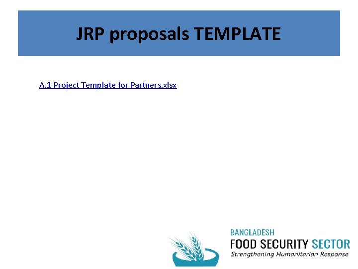 JRP proposals TEMPLATE A. 1 Project Template for Partners. xlsx 