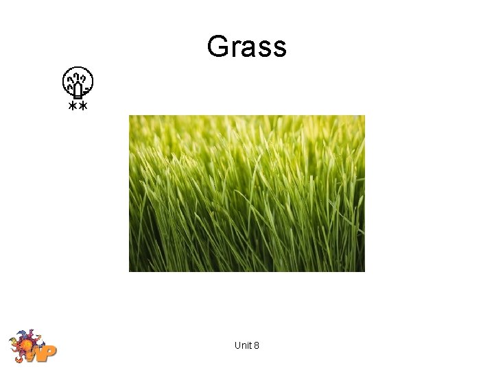 Grass Unit 8 