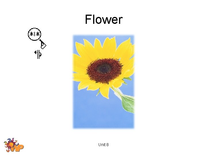 Flower Unit 8 