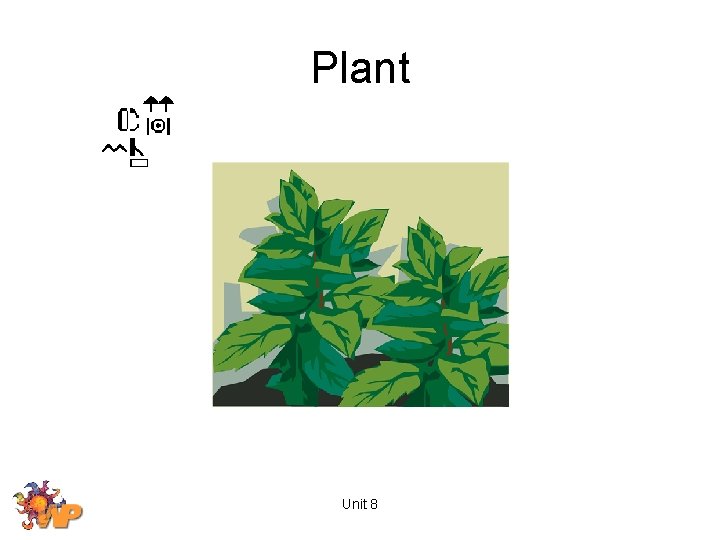 Plant Unit 8 