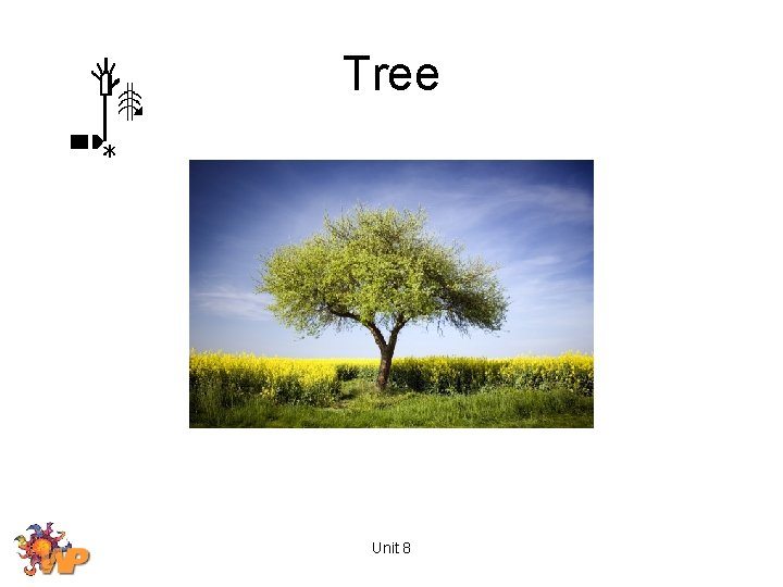 Tree Unit 8 