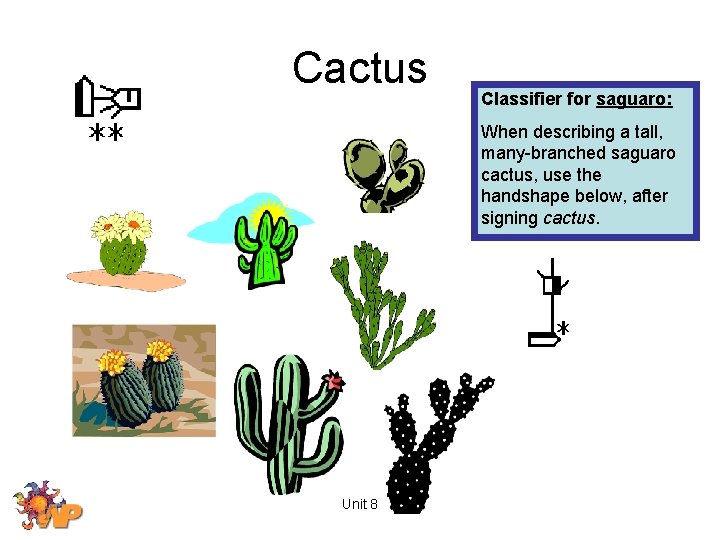 Cactus Classifier for saguaro: When describing a tall, many-branched saguaro cactus, use the handshape