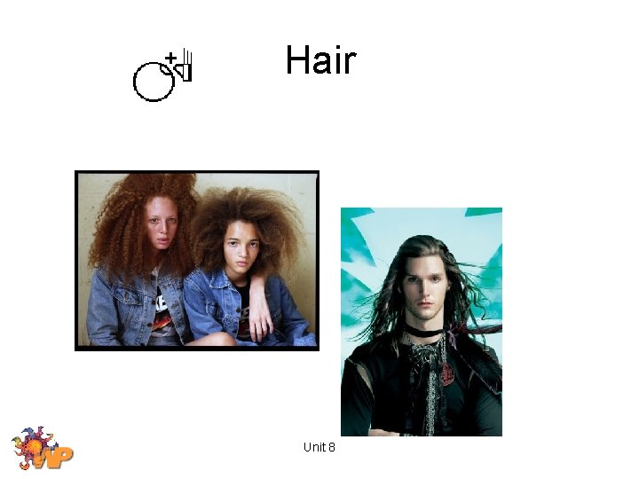 Hair Unit 8 