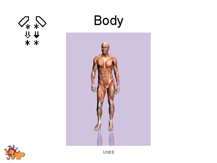 Body Unit 8 