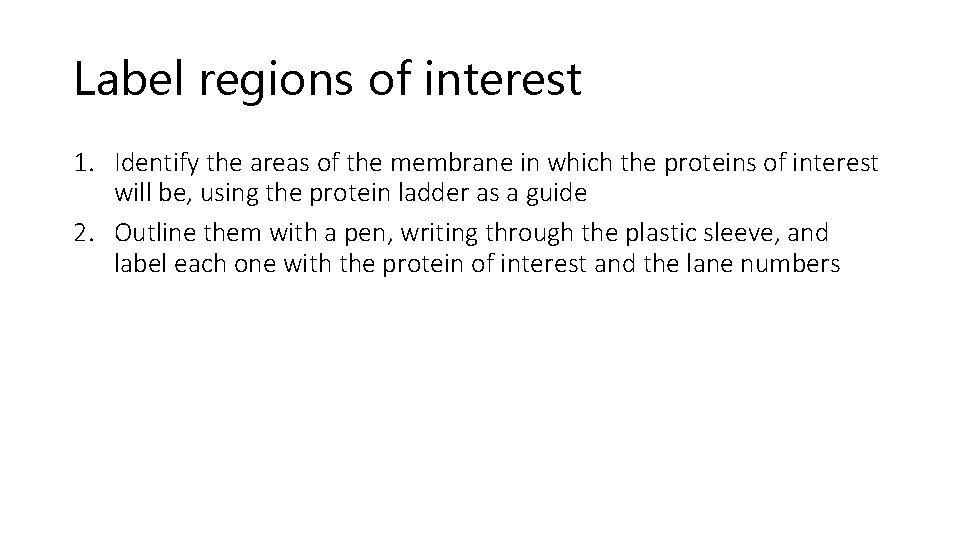 Label regions of interest 1. Identify the areas of the membrane in which the