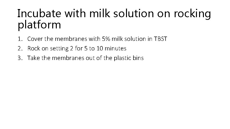 Incubate with milk solution on rocking platform 1. Cover the membranes with 5% milk