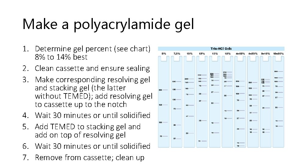 Make a polyacrylamide gel 1. Determine gel percent (see chart) 8% to 14% best