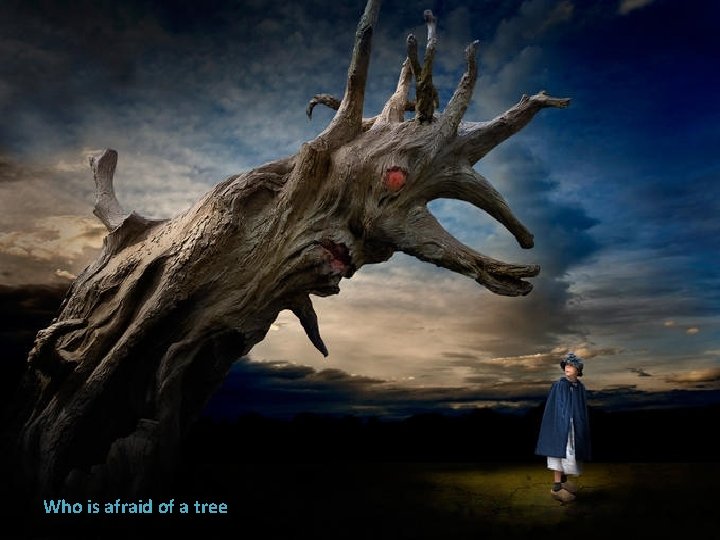 Who is afraid of a tree 