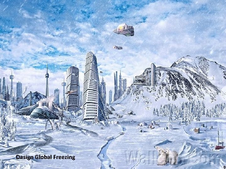 Design Global Freezing 