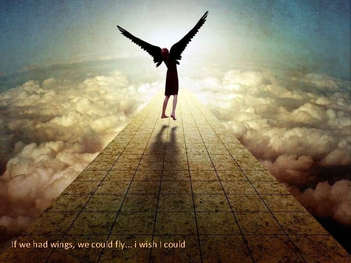 If we had wings, we could fly. . . i wish I could 