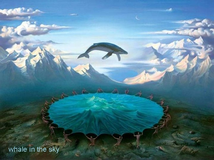 whale in the sky 
