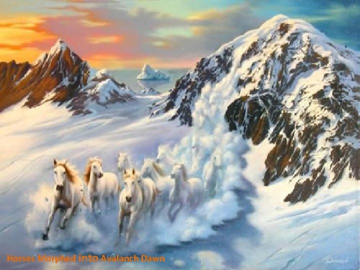 Horses Morphed into Avalanch Dawn 